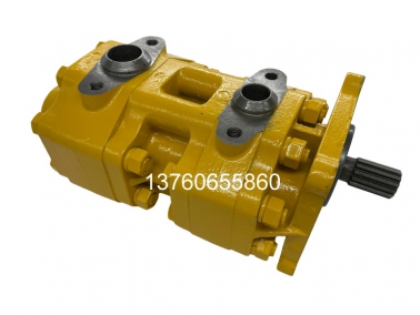 SD16雙聯(lian)泵(beng)